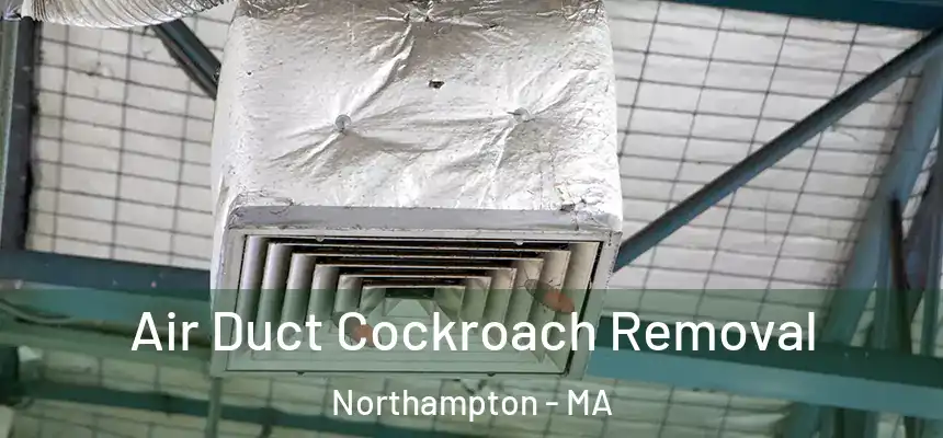  Air Duct Cockroach Removal Northampton - MA