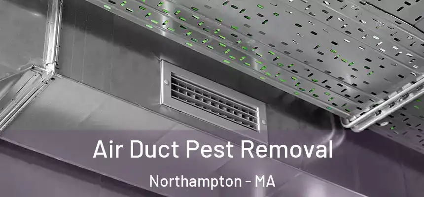  Air Duct Pest Removal Northampton - MA