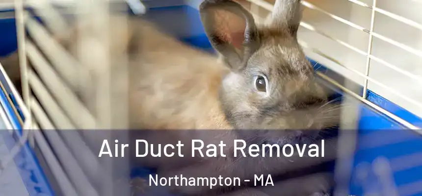 Air Duct Rat Removal Northampton - MA