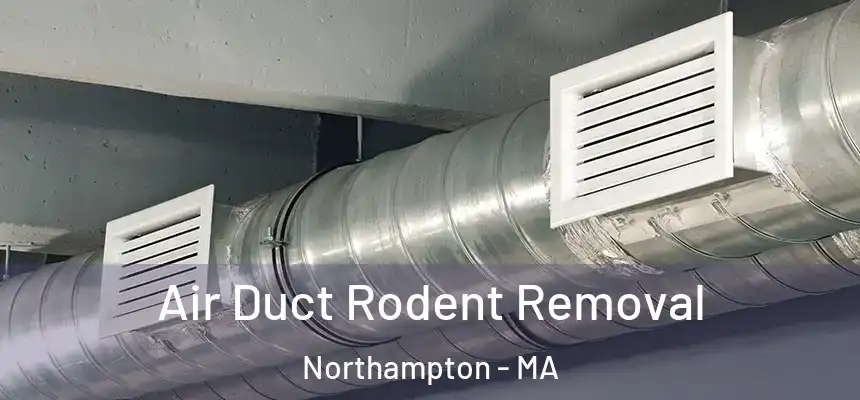  Air Duct Rodent Removal Northampton - MA