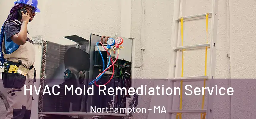  HVAC Mold Remediation Service Northampton - MA