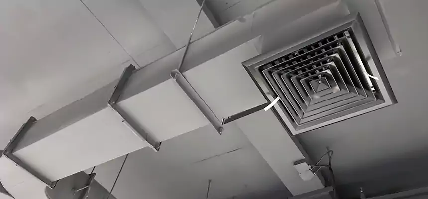 Restorative Allergy Relief Vent Cleaning – Coil, Blower & Housing Detail in Northampton