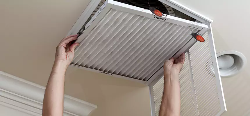 Our Insect Removal from Air Ducts Services in Northampton, MA