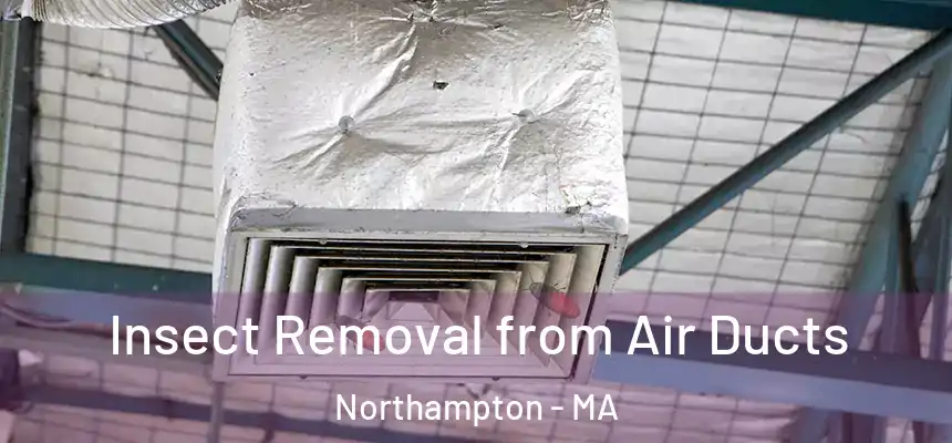  Insect Removal from Air Ducts Northampton - MA
