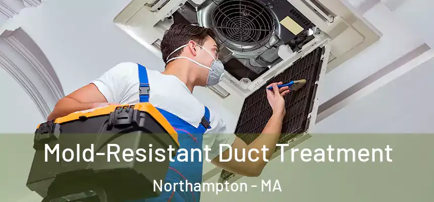  Mold-Resistant Duct Treatment Northampton - MA