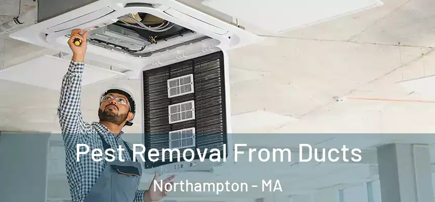  Pest Removal From Ducts Northampton - MA