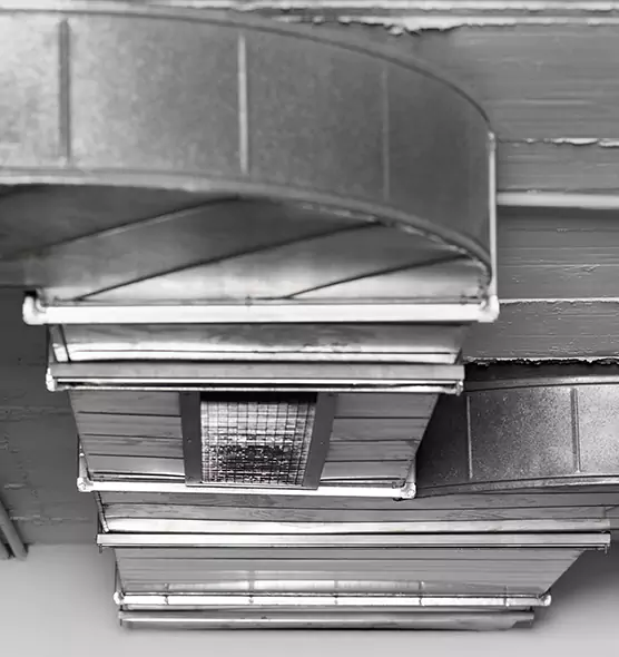 Professional Air Duct Pest Removal in Northampton, MA