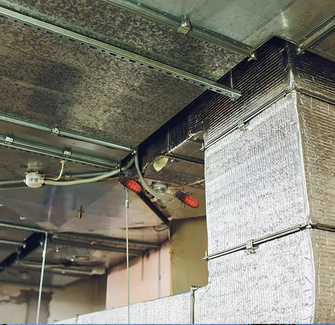 Why Homeowners & Businesses Trust Us in Northampton, MA?