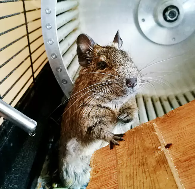 Why Homeowners & Businesses Trust Us Northampton, MA