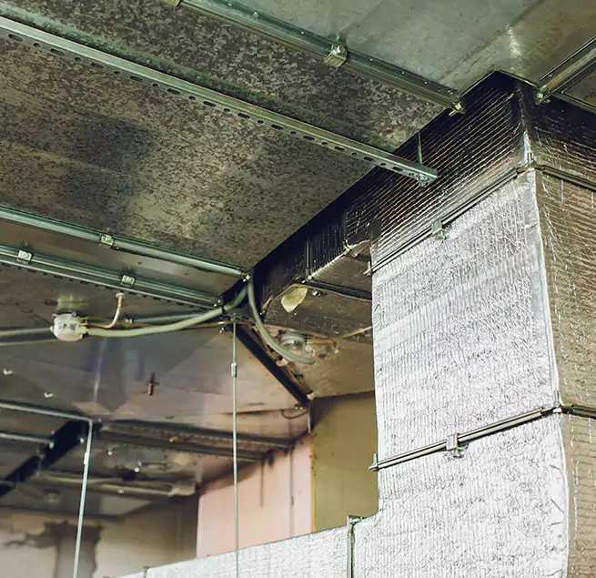 Why Homeowners & Businesses Trust Us in Northampton, MA?