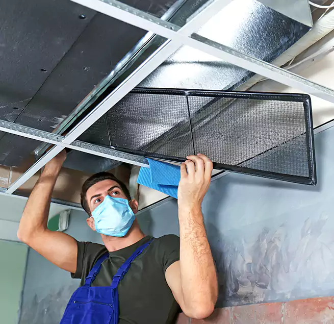 Why Homeowners Businesses Trust Us in Northampton, MA